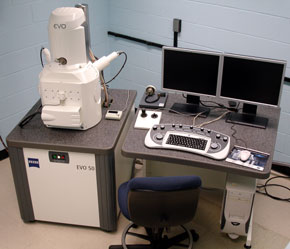 Scanning Electron Microscopy