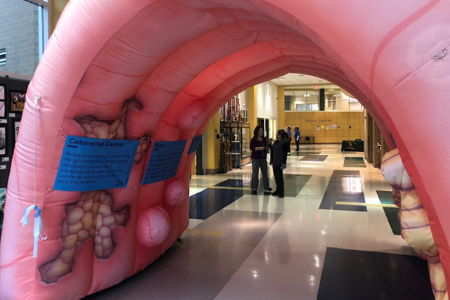 inflatable display colon